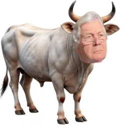 buy
