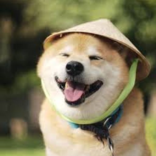 Marutaru
