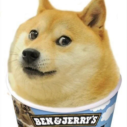 FATTIE