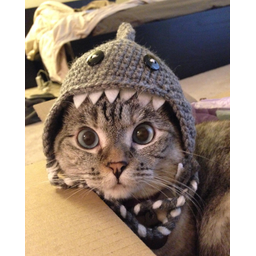 Nala