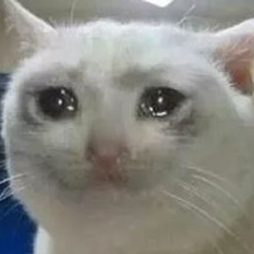 sadcat