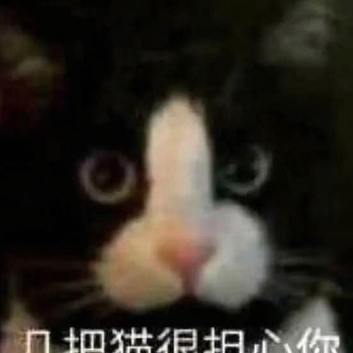 几把猫