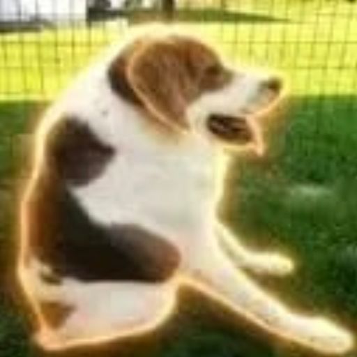 cooper