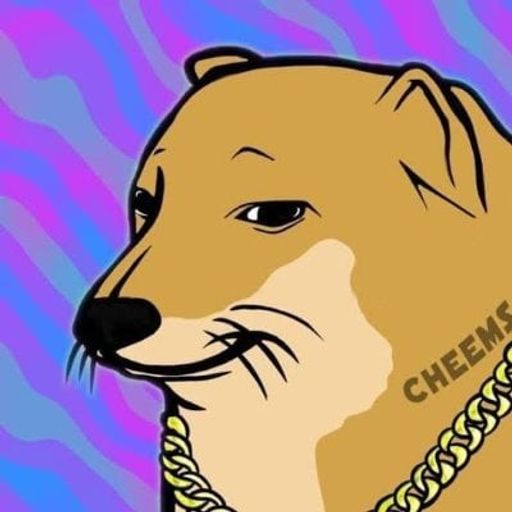 CHEEMS