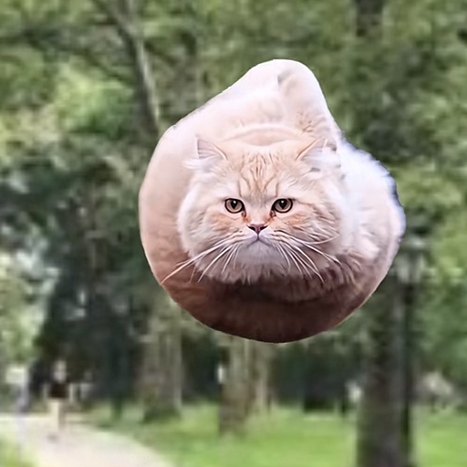 SCAT