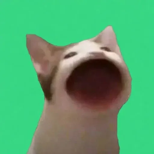 BWOP
