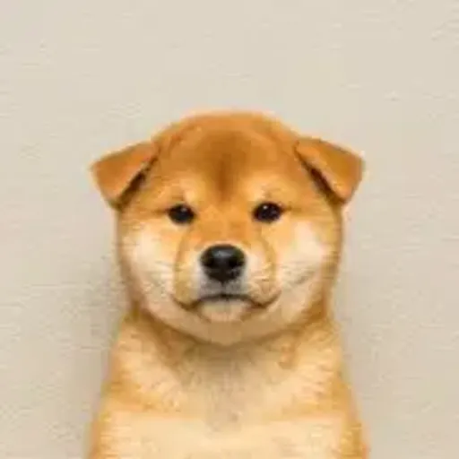 Inu