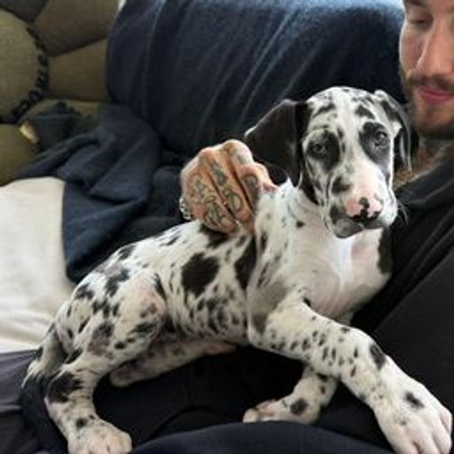 PENNY