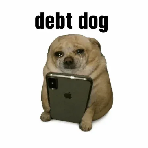 debt