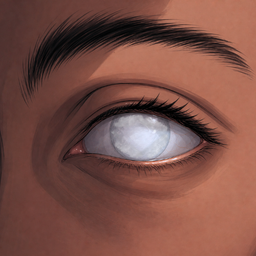 Blind