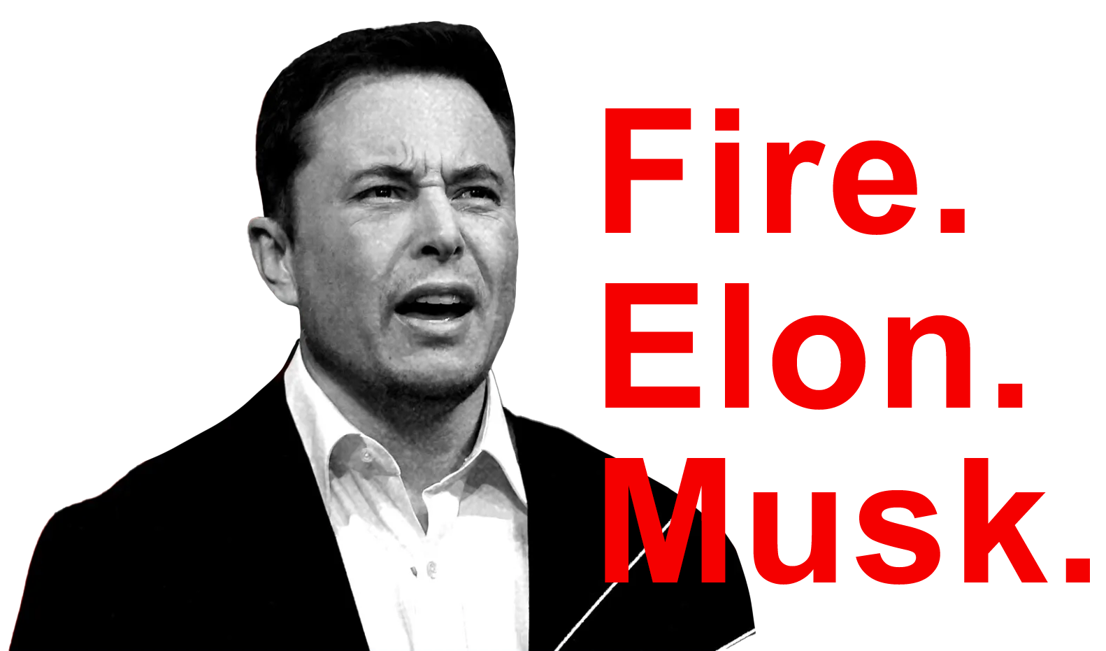 Fire Elon