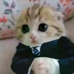 401KAT