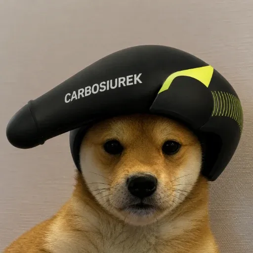 DIH