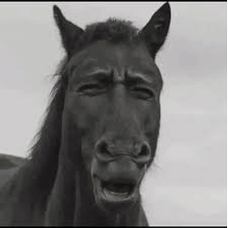 BLACKHORSE