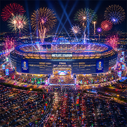 METLIFE