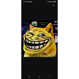 tdoge