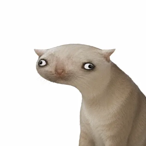 ceshcet