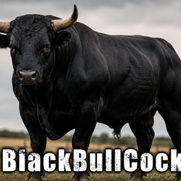 Bcock 