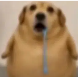 fml