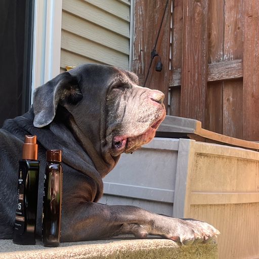 tandog 