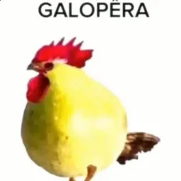 GALOPÊRA