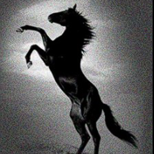 DARKHORSE