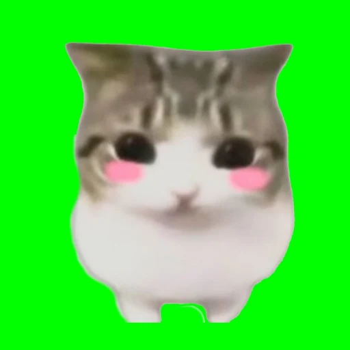TOTOBATO