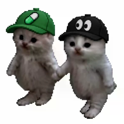 twin