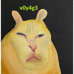 v0y4g3