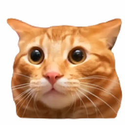 hi