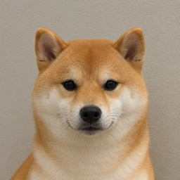 Inu