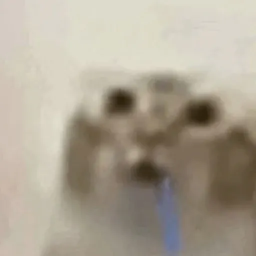 cet