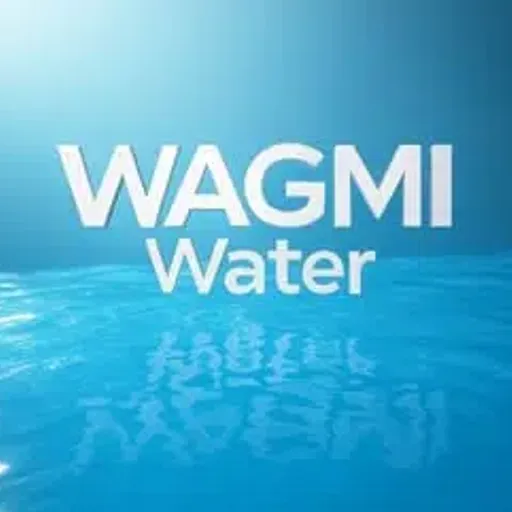 WAGMI
