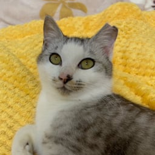 SOL
