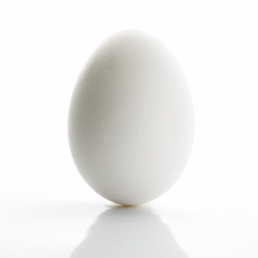 egg