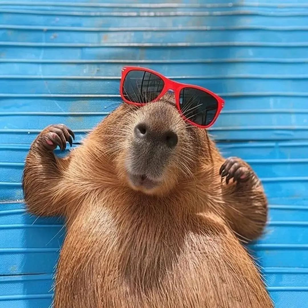 CAPY