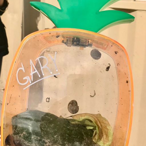 gary
