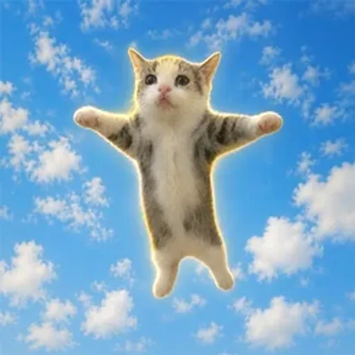 HappyCAT2