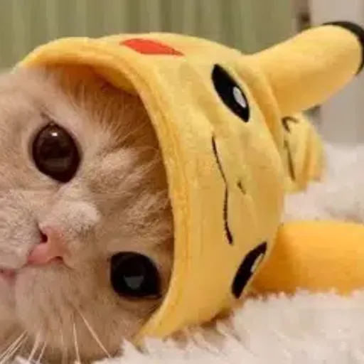 PIKA
