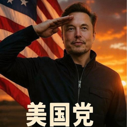 美国党