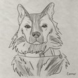 Scout