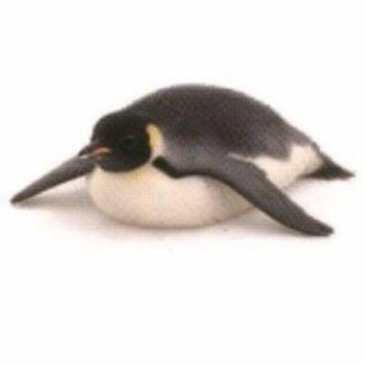pengDog