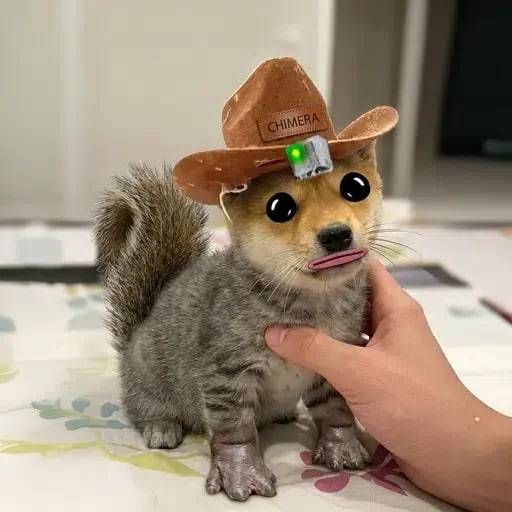 Chimera