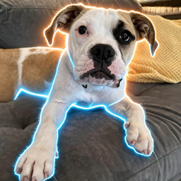 Riggs