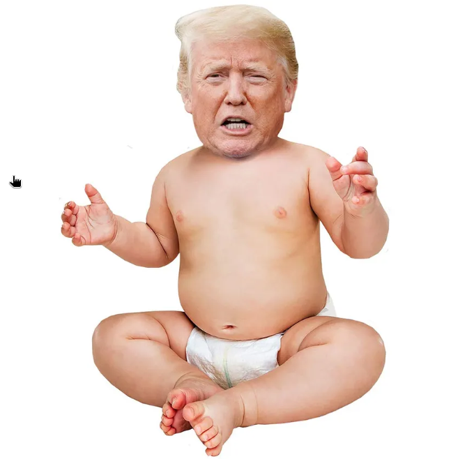 BABYTRUMP