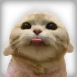 blep