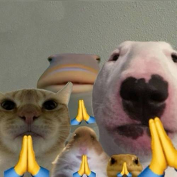 pls