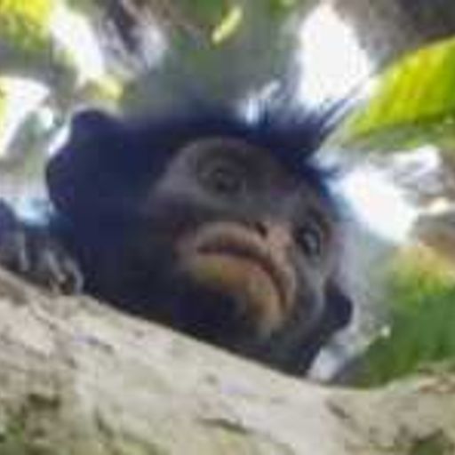 Likweli