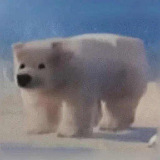 ber