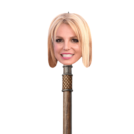 SPEARS